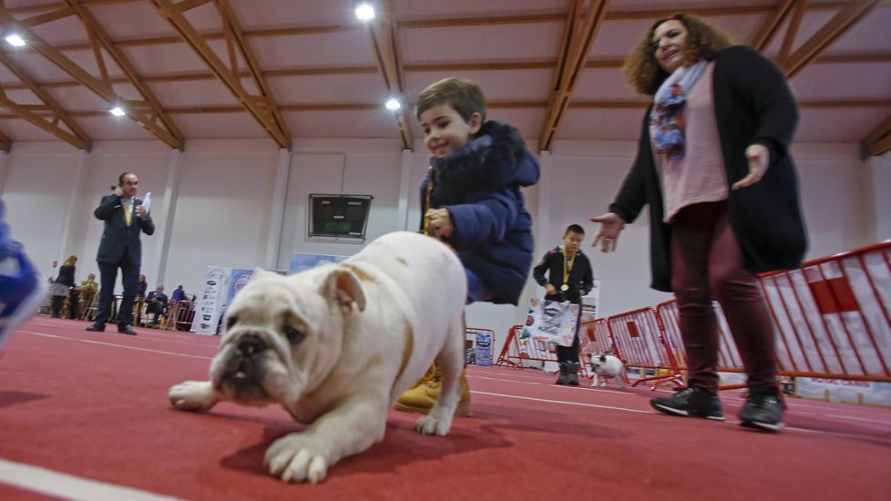 III Exposición Canina de Ponte Caldelas