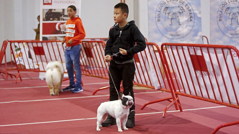 III Exposición Canina de Ponte Caldelas