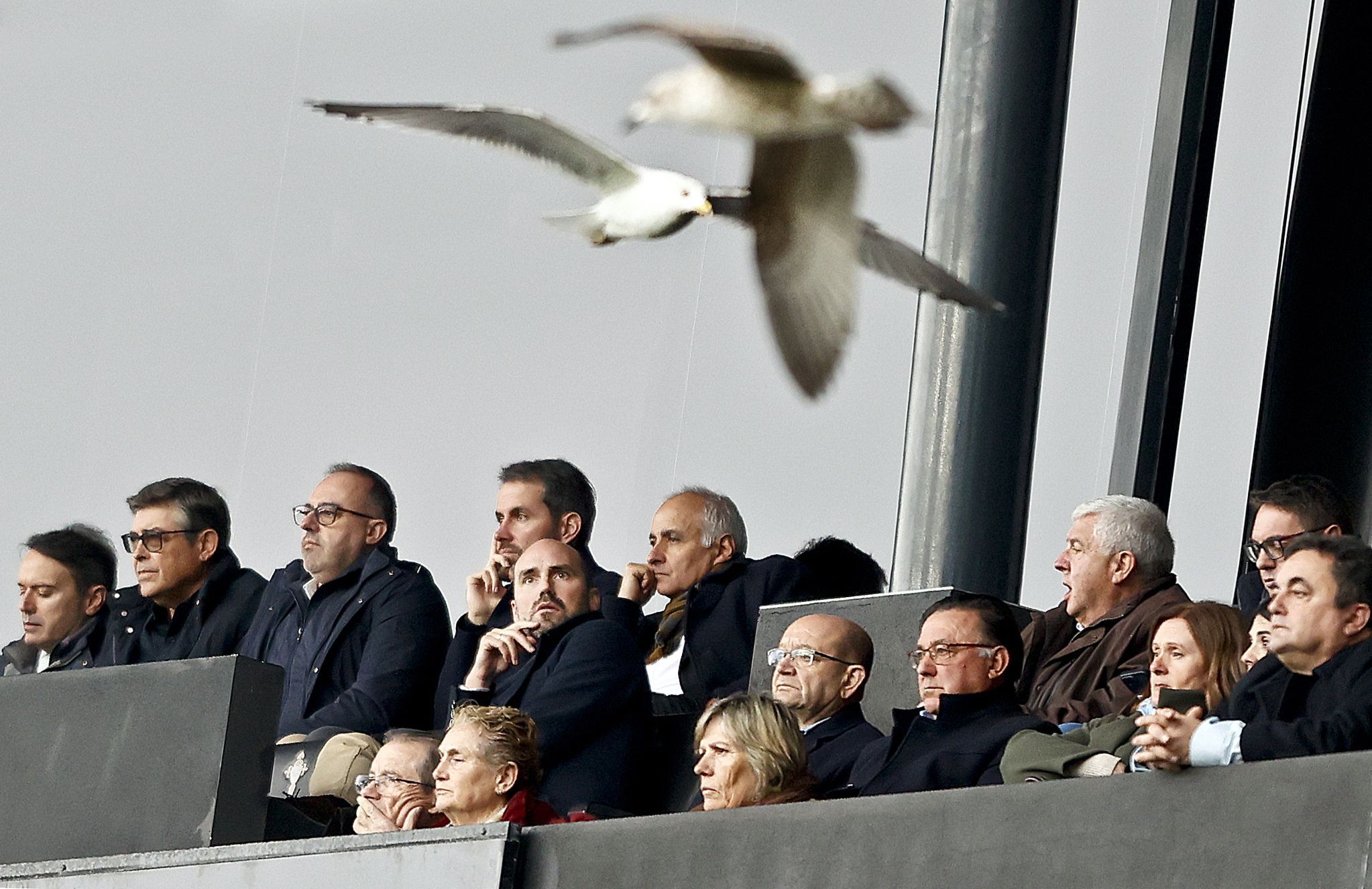 Gaivotas sobrevoando o palco de Balaidos durante o partido entre o Celta e o Real Betis. 08/02/2025