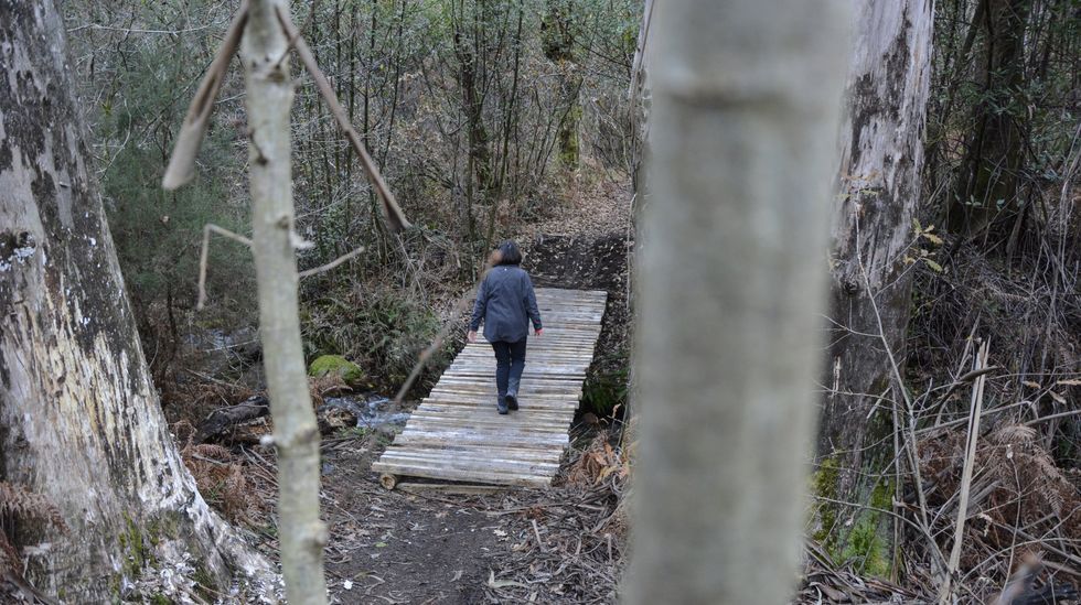 Monte Xiabre, entre Vilagarcía, Catoira y Caldas