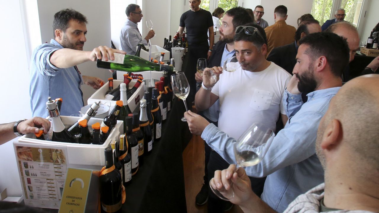 Fevino, cata en el túnel del vino