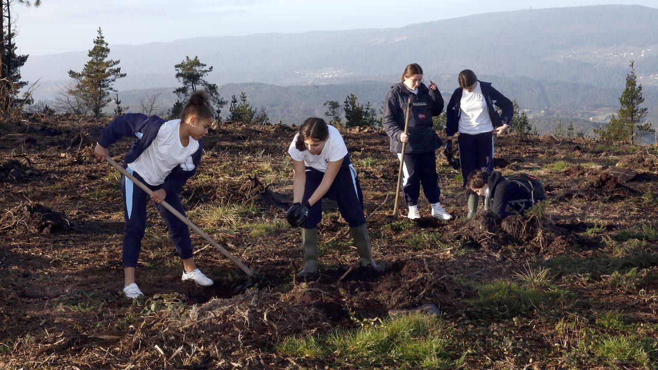 Salida de reforestación en Lousame-Noia, plantación de árboles en Froxán alumnos del colegio Colegio San José de Cluny