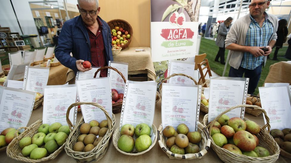 ECOGALICIA EN EXPOCORUÑA