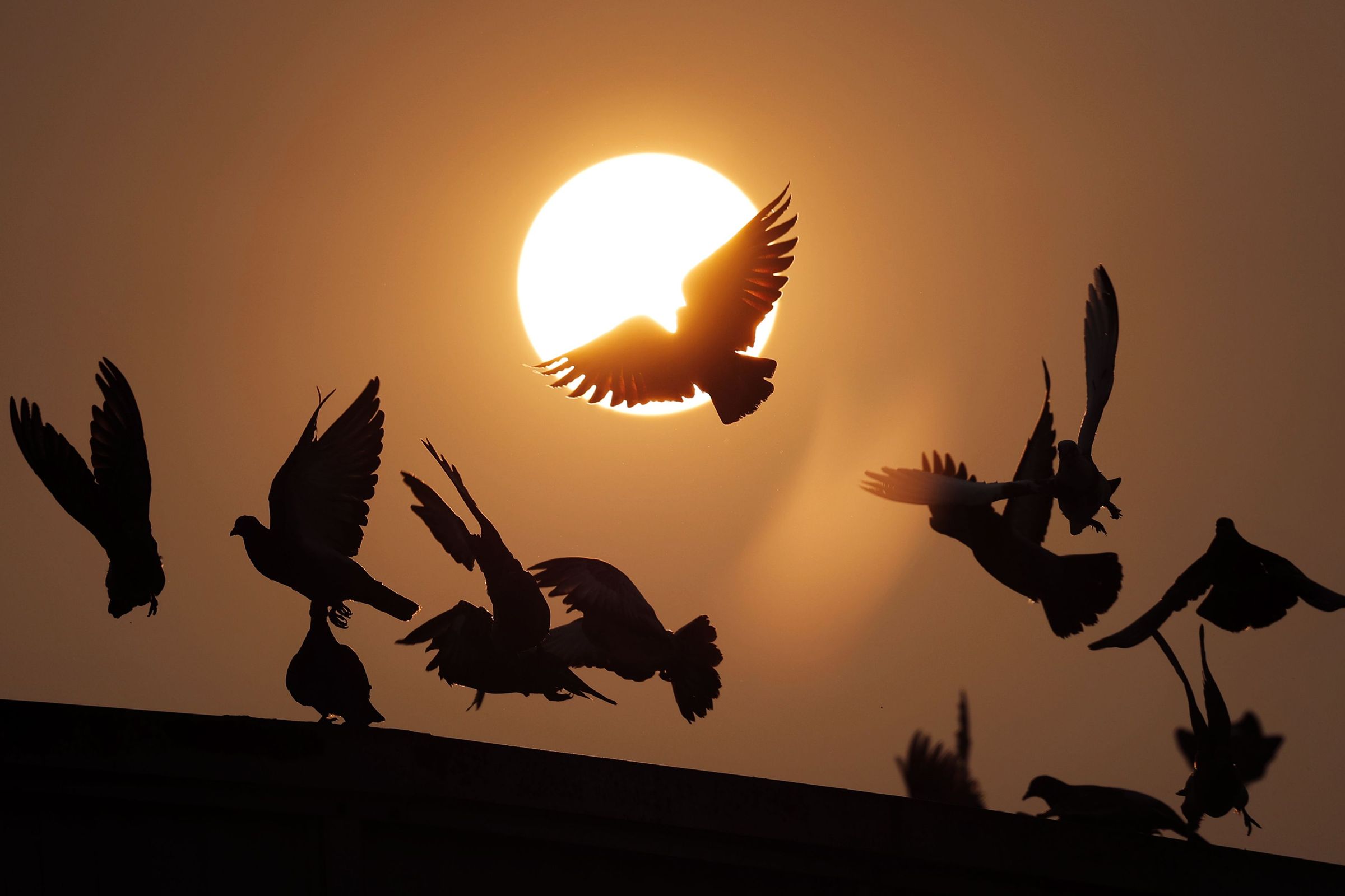 Sol vermello na Corua. 19/09/2024