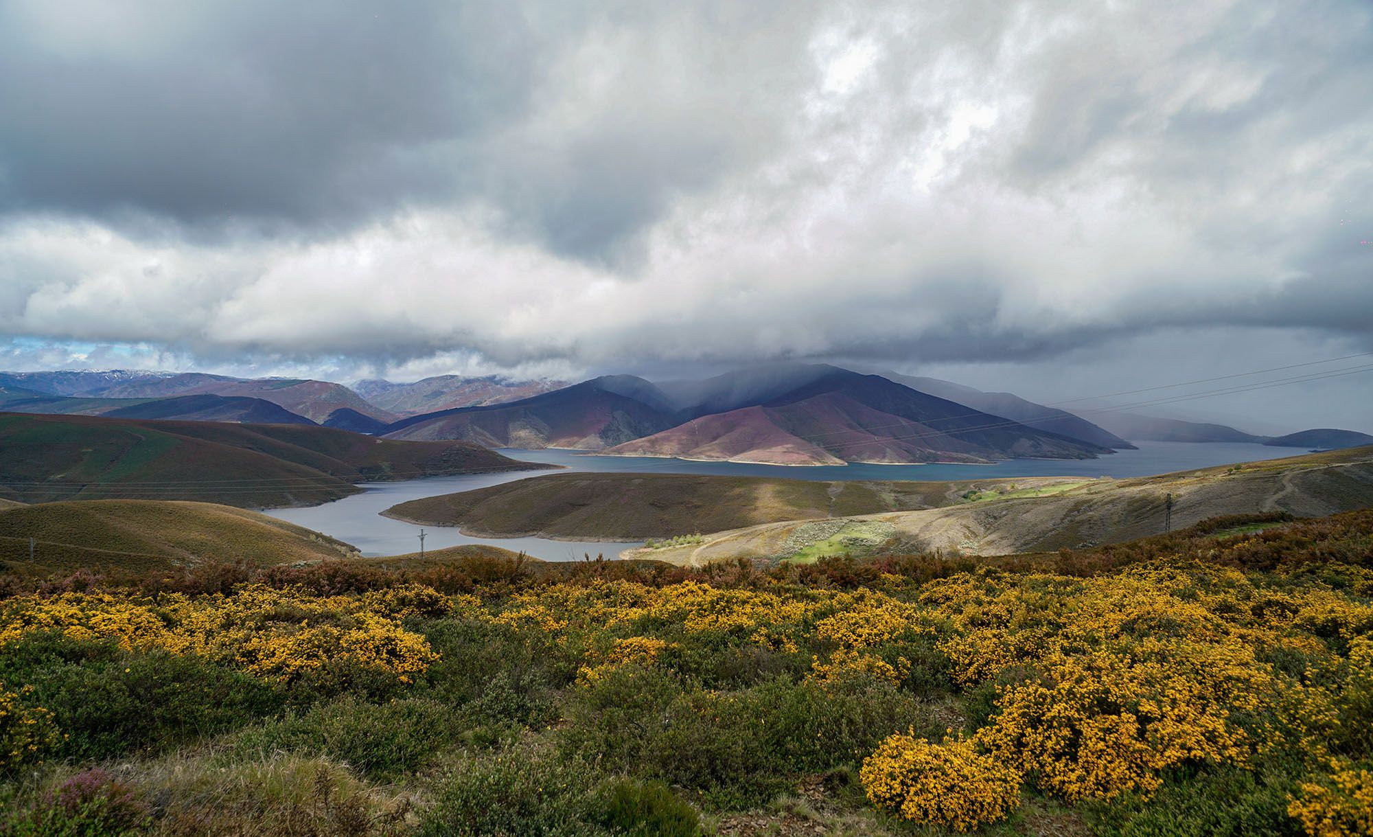 Inverna a mediados de maio no Parque natural do Invernadoiro. Mergullada baixo as augas do encoro das Portas, permanece a que un da foi a aldea de Veigas do Camba. 02/05/2024