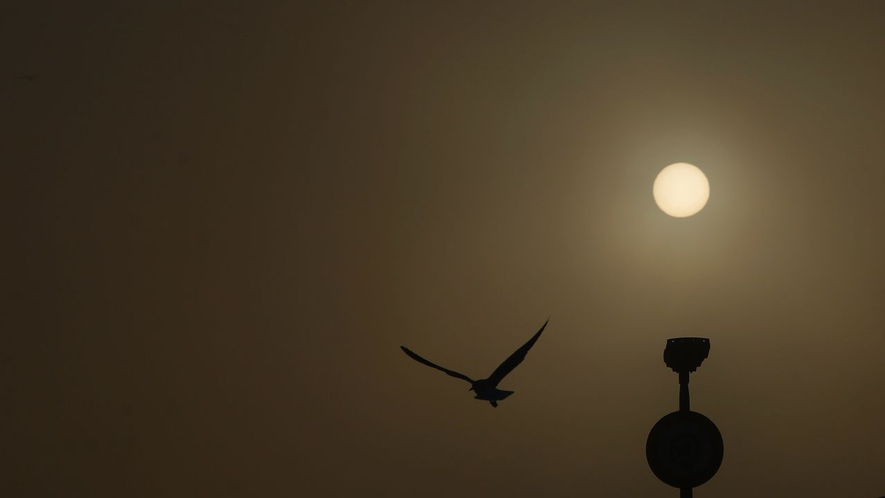 Niebla en A Coruña