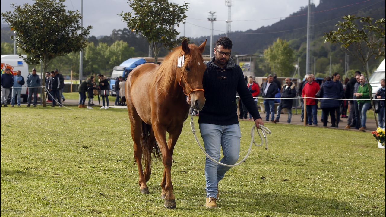 Feria caballar en las Fiestas de San Marcos 2019