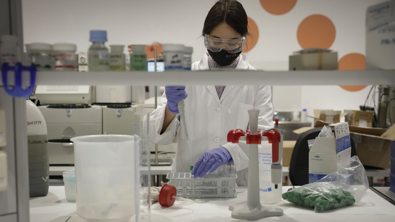 Investigadores del Cetim trabajando en procesos de la industria de la madera
