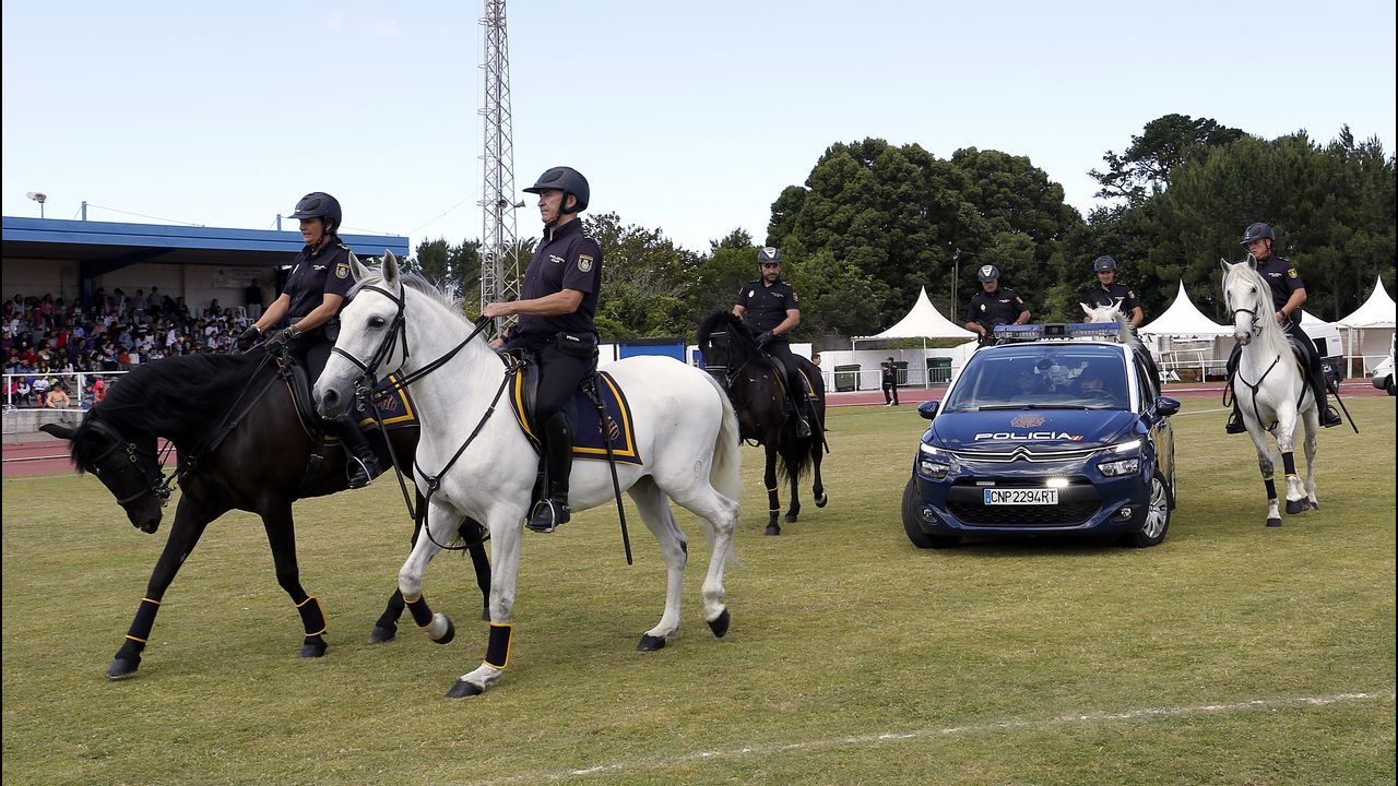 Exhibicion de la Policía Nacional para los escolares de Ribeira con helicoptero, caballería, perros de rastreo