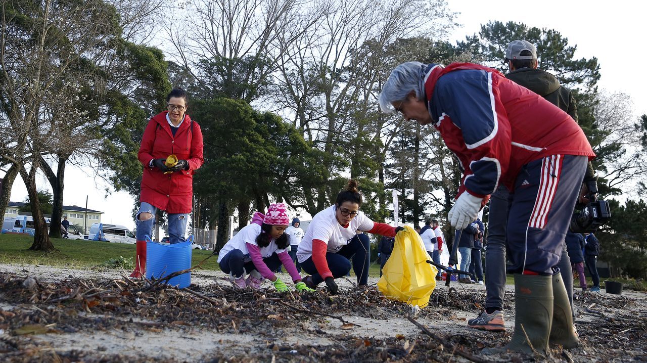 boiro. limpieza de playa de barraña del programa ecomar de jealsa