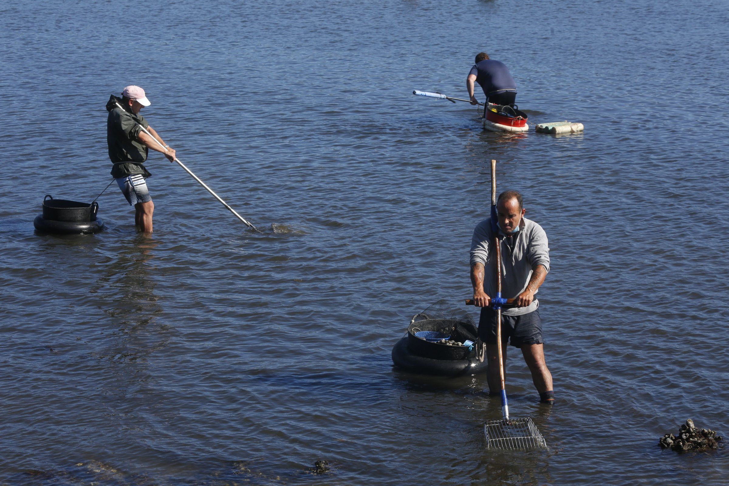 Mariscadores de Louriz�n en Pontevedra. 9/6/2021
