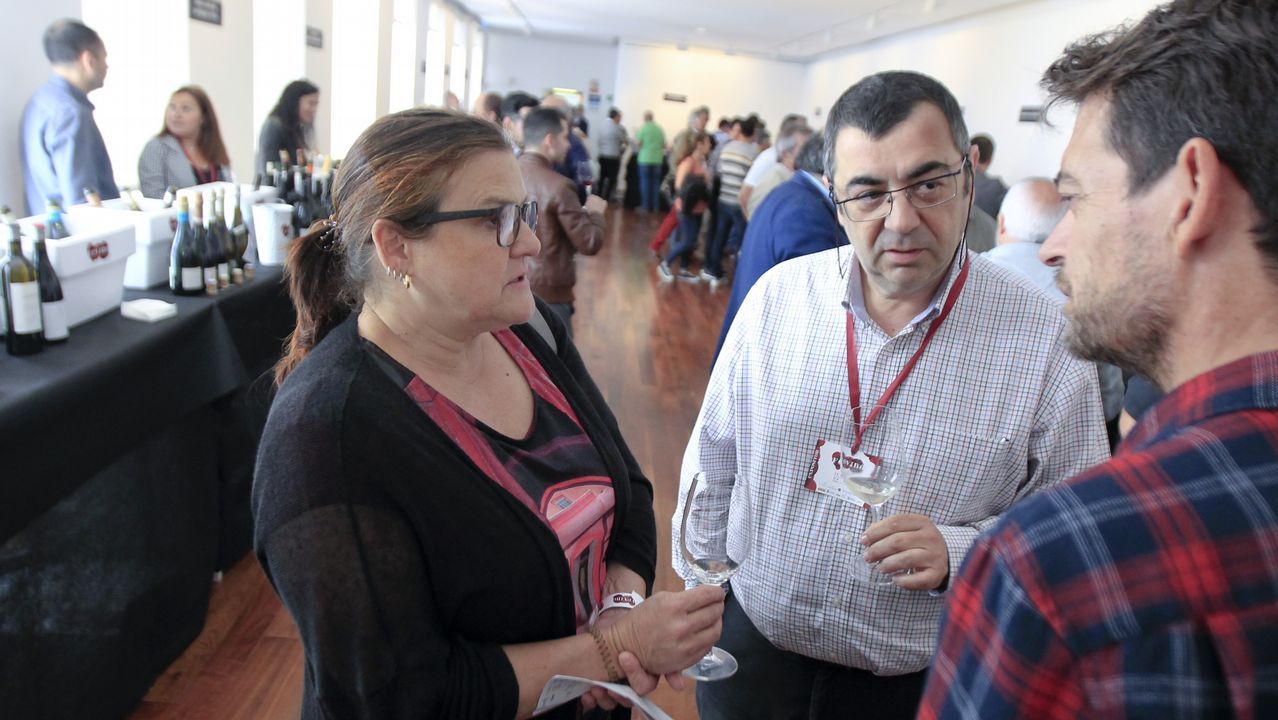 Túnel del vino en Fevino
