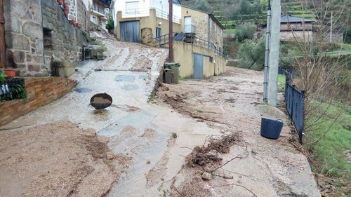 ASÍ HA CASTIGADO EL TEMPORAL A OURENSE.Las comarcas de A Limia y de Verín han sufrido daños en el campo y en edificaciones. En la Universidad Laboral también ha habido destrozos por árboles caídos