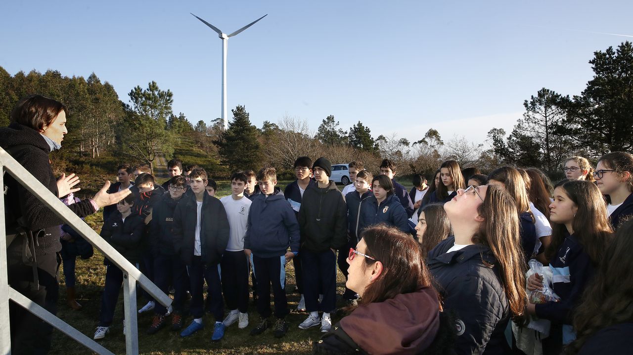 Salida de reforestación en Lousame-Noia, plantación de árboles en Froxán alumnos del colegio Colegio San José de Cluny