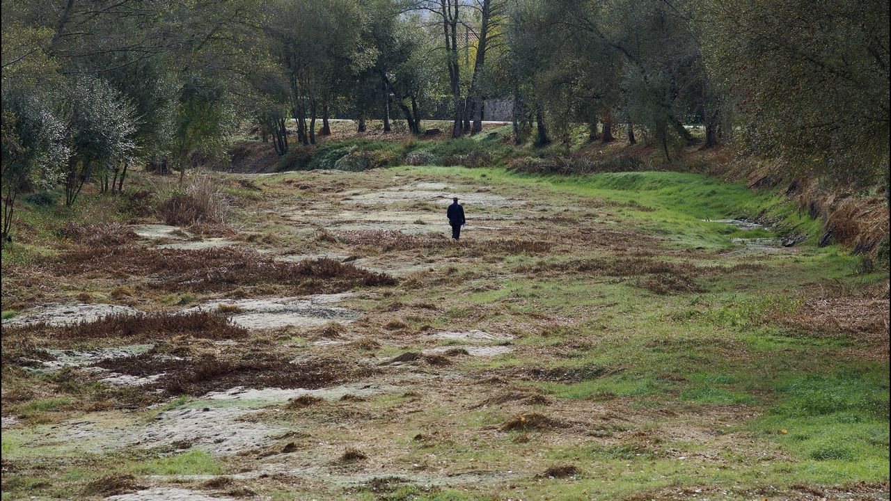 Algunos tramos del río Limia a su paso por Xinzo se llegaron a secar por completo