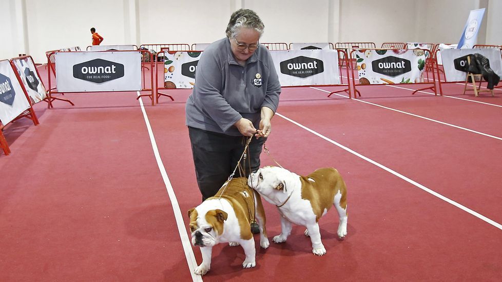 III Exposición Internacional Canina de Ponte Caldelas