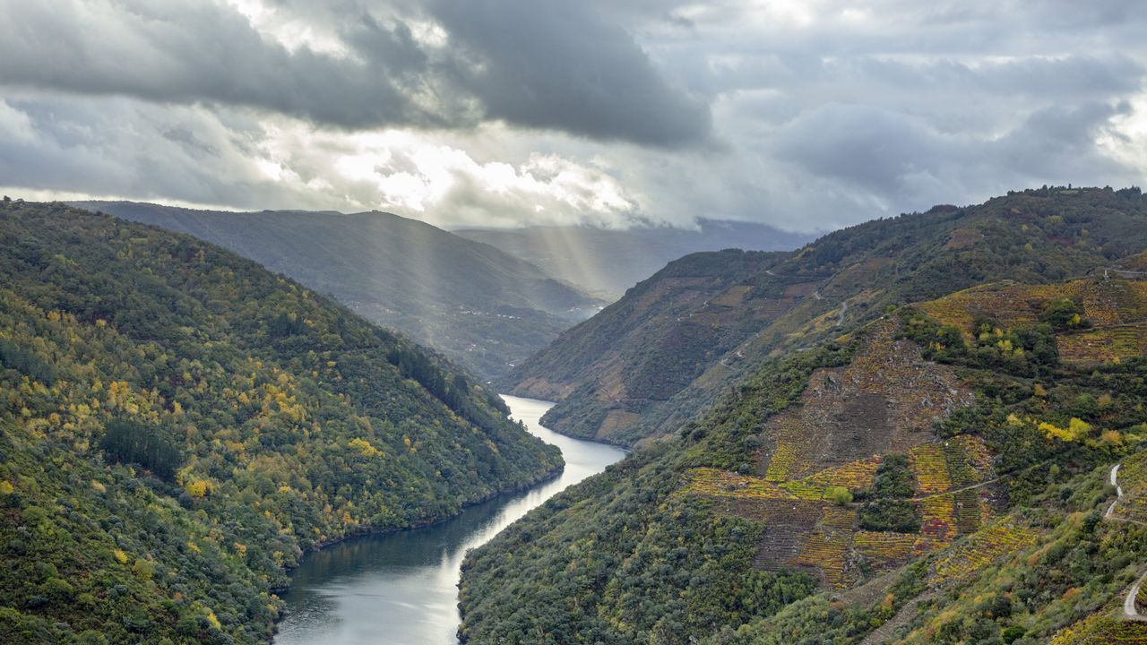 Estampa otoñal de la ribeira de Doade con el Sil como protagonista