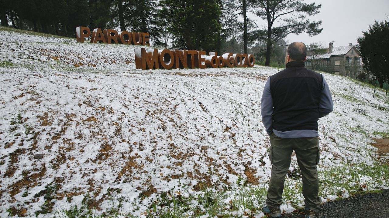 Nieve en Santiago