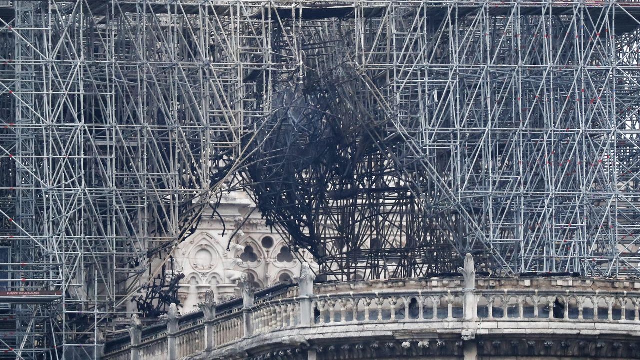 La Catedral de Notre Dame, esta mañana
