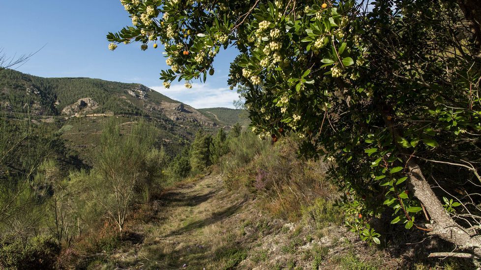 La ruta discurre por la ladera del estrecho valle del río Ferreiriño. Por la ladera opuesta (a la izquierda de la imagen) pasa la carretera de Quiroga a Folgoso do Courel