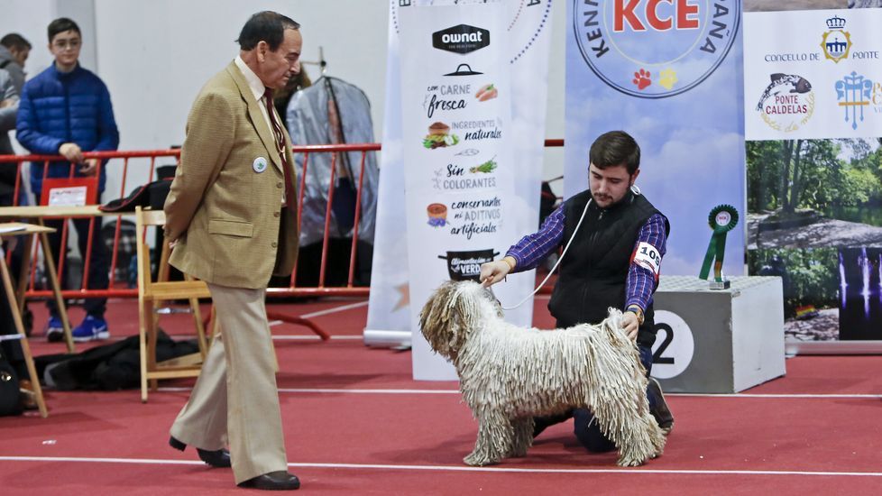 III Exposición Internacional Canina de Ponte Caldelas