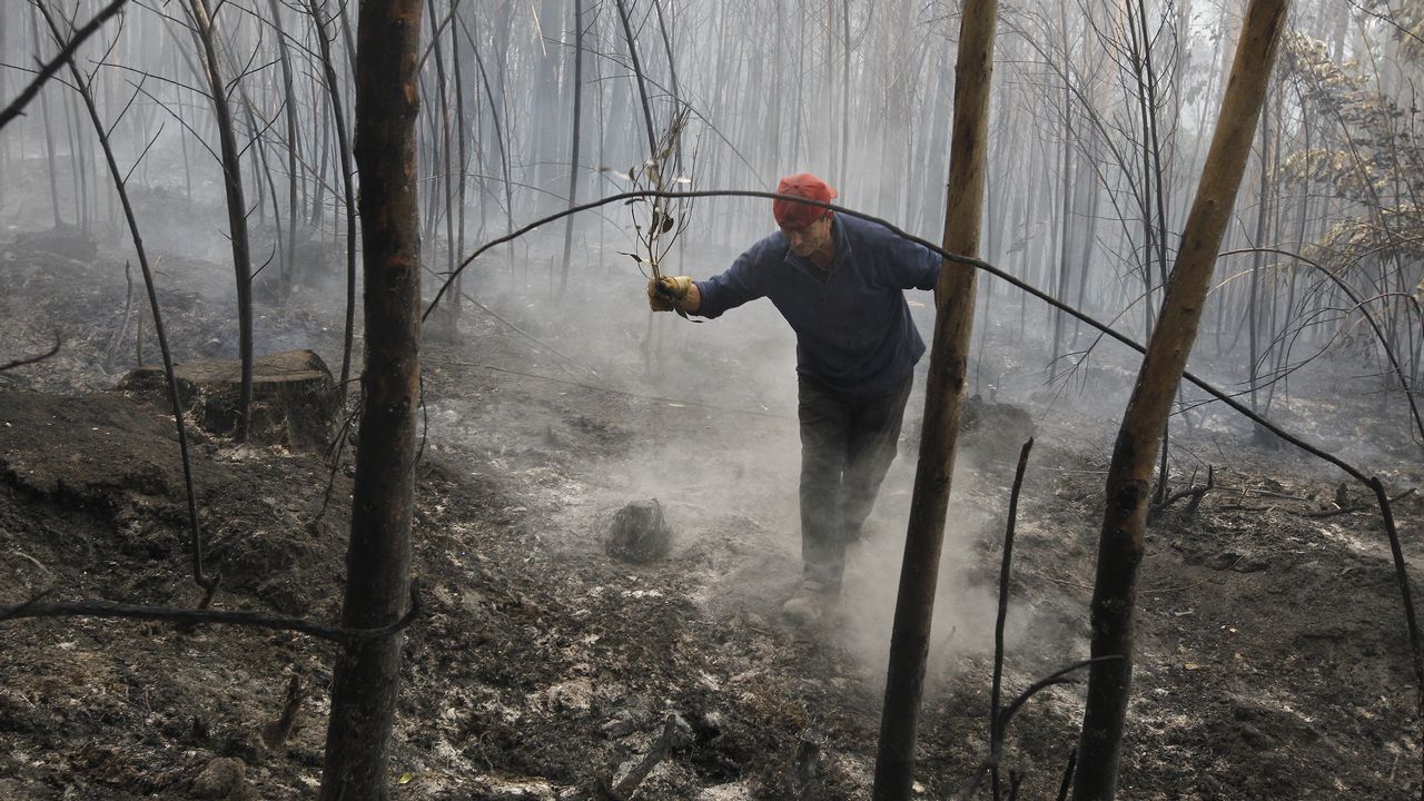 En San Fiz, Bóveda, los bomberos hicieron contrafuegos para evitar la propagacion de las llamas
