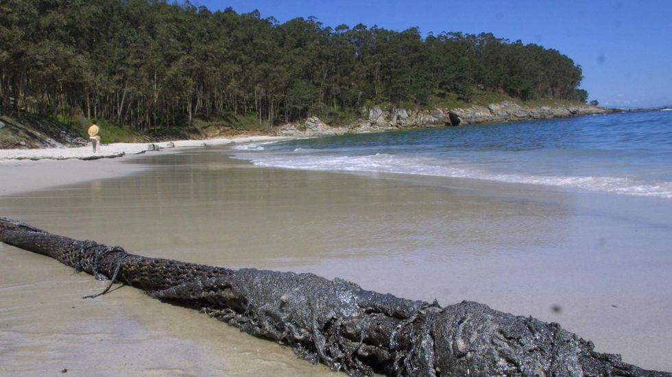 Vigo. Figueiras (Cíes)