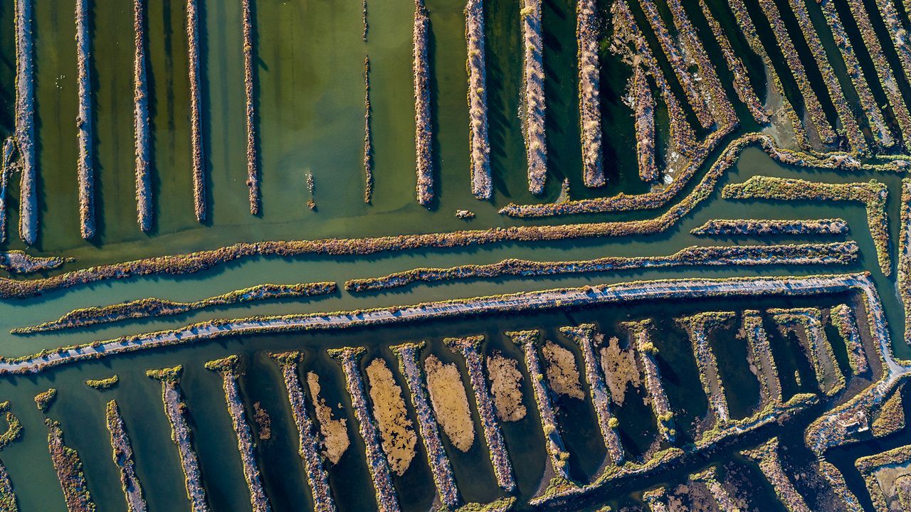 Salinas abandonadas en Puerto Real, Cádiz