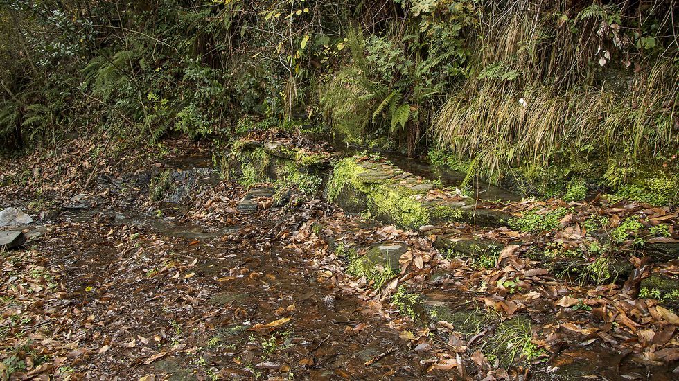 Las aguas de la Fonte da Costa son muy apreciadas por los vecinos de la zona
