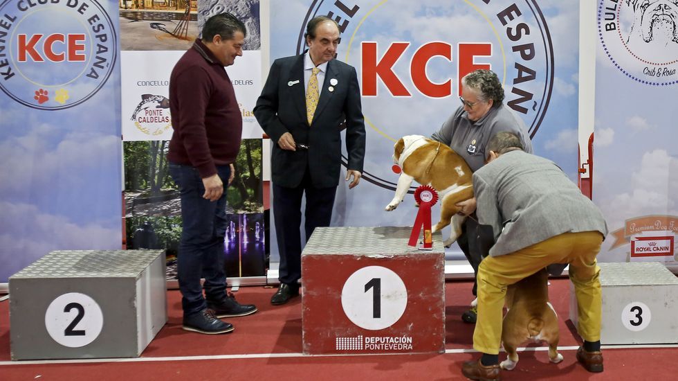 III Exposición Internacional Canina de Ponte Caldelas