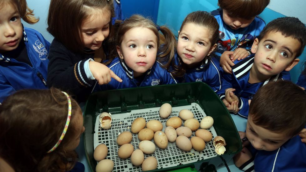 Proyecto voz natura en el colegio Jaime Balmes