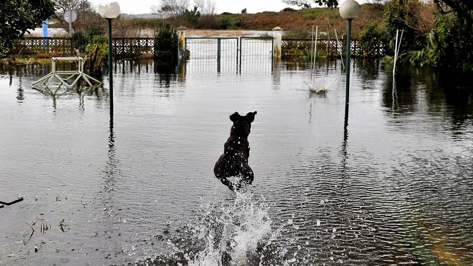 Carballo XXL.Temporal en la playa de A Frouxeira, en Valdoviño