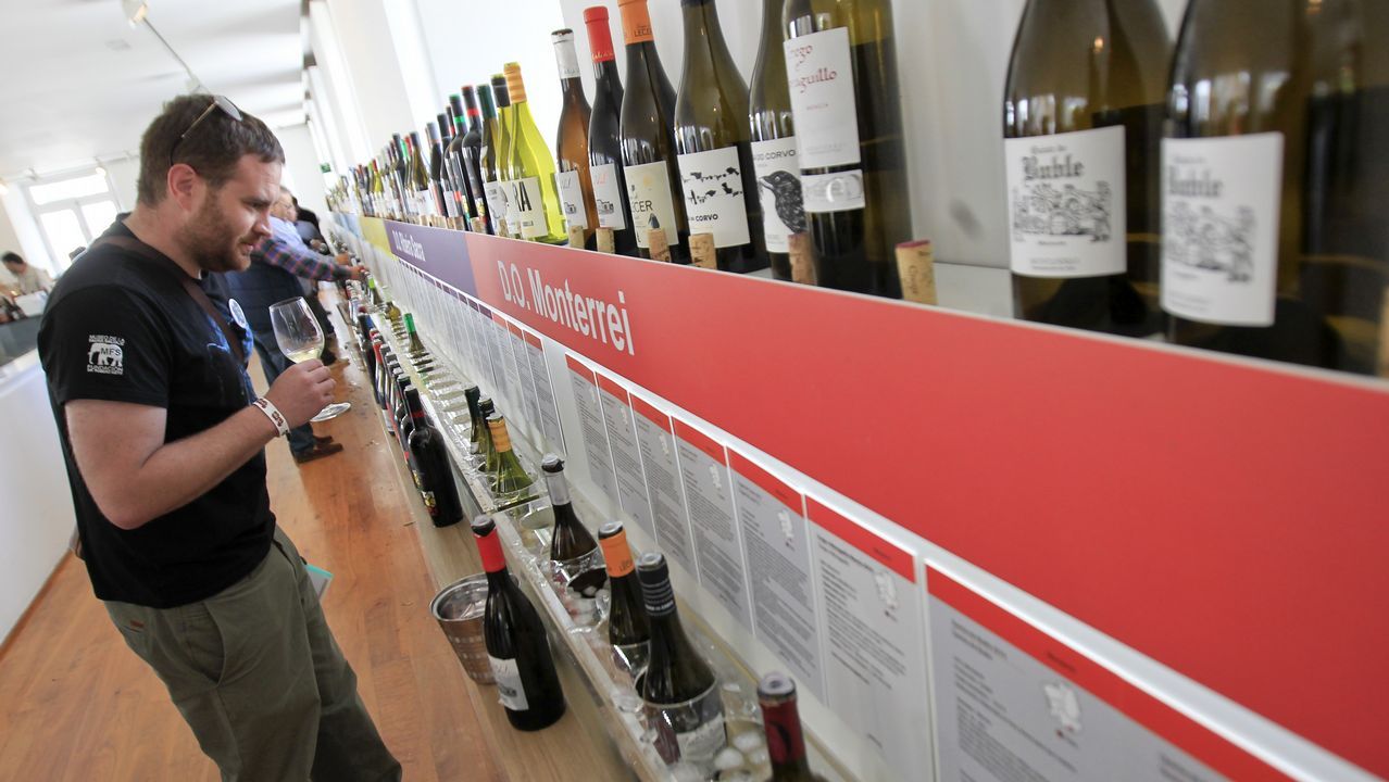 Túnel del vino en Fevino