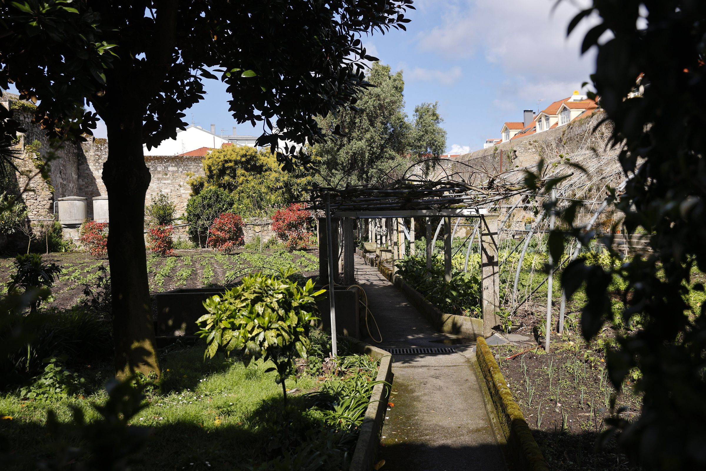 El huerto amurallado est� dividido en varias partes. En una primera zona est�n los animales (gallinas y conejos), en otra intermedia tienen los cultivos y, en la parte final, la mayor�a de los �rboles frutales y un campo donde las monjas se sientan.