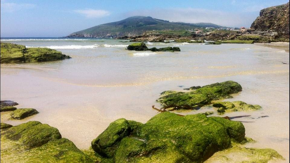 Ferrol