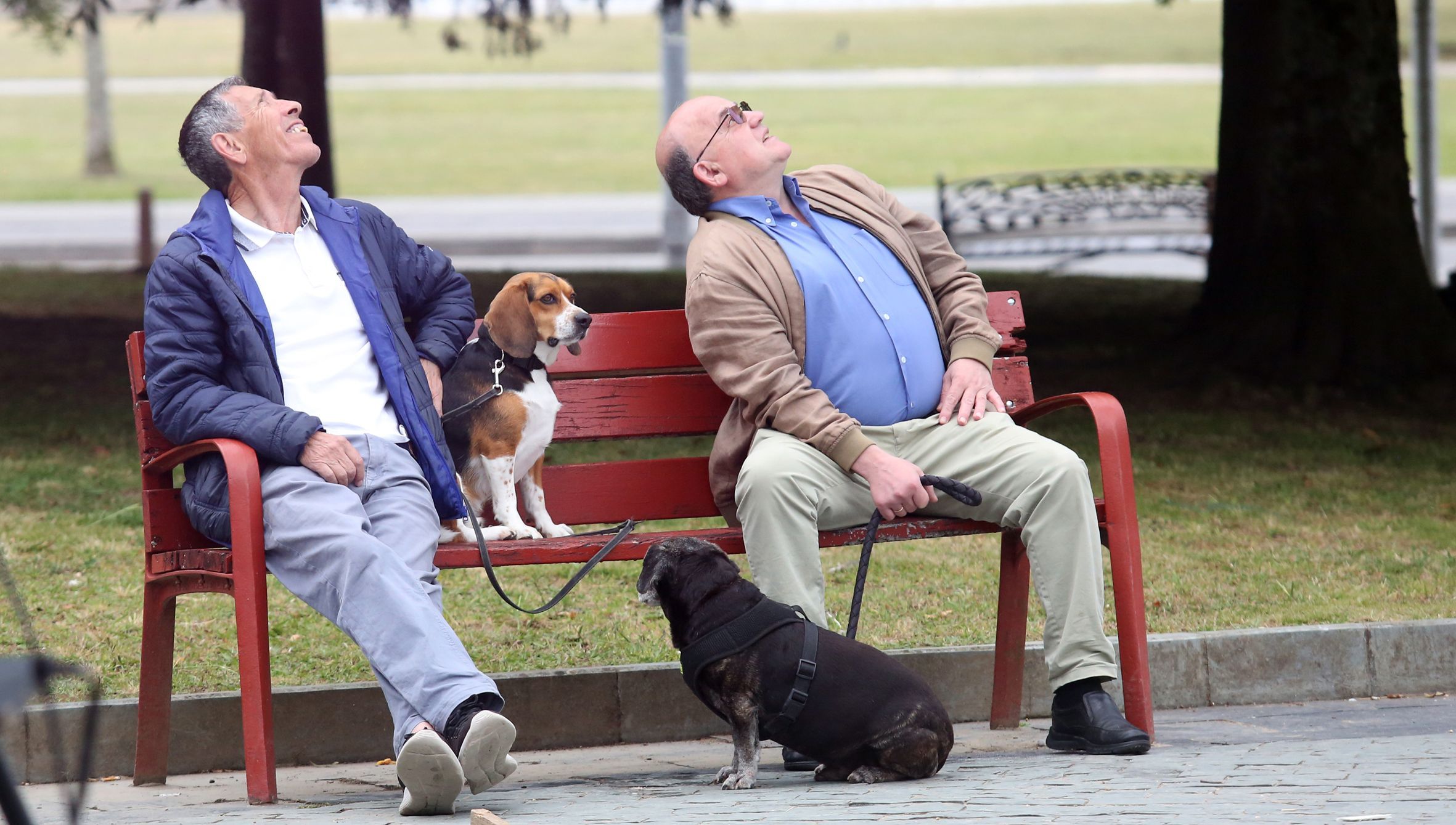 Dous homes, no parque Miguel Hernndez de Vilagarca, ollan ao mesmo tempo cara arriba acompaados dos seus cans. 15/06/2024