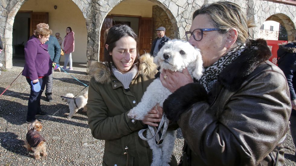 Bendición de mascotas en la iglesia de Campolongo