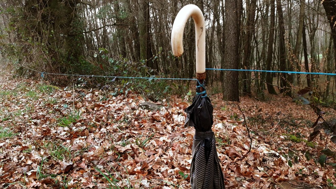 Tr�iler - ��rase una vez en Hollywood�.Vista de Dubai