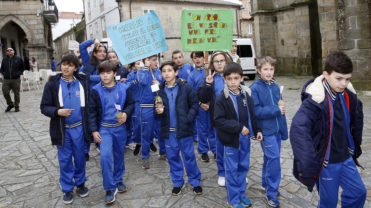 Voz Natura final del colegio Jaime Balmes, entrega de brotes de hortalizas de su huerto escolar 2020