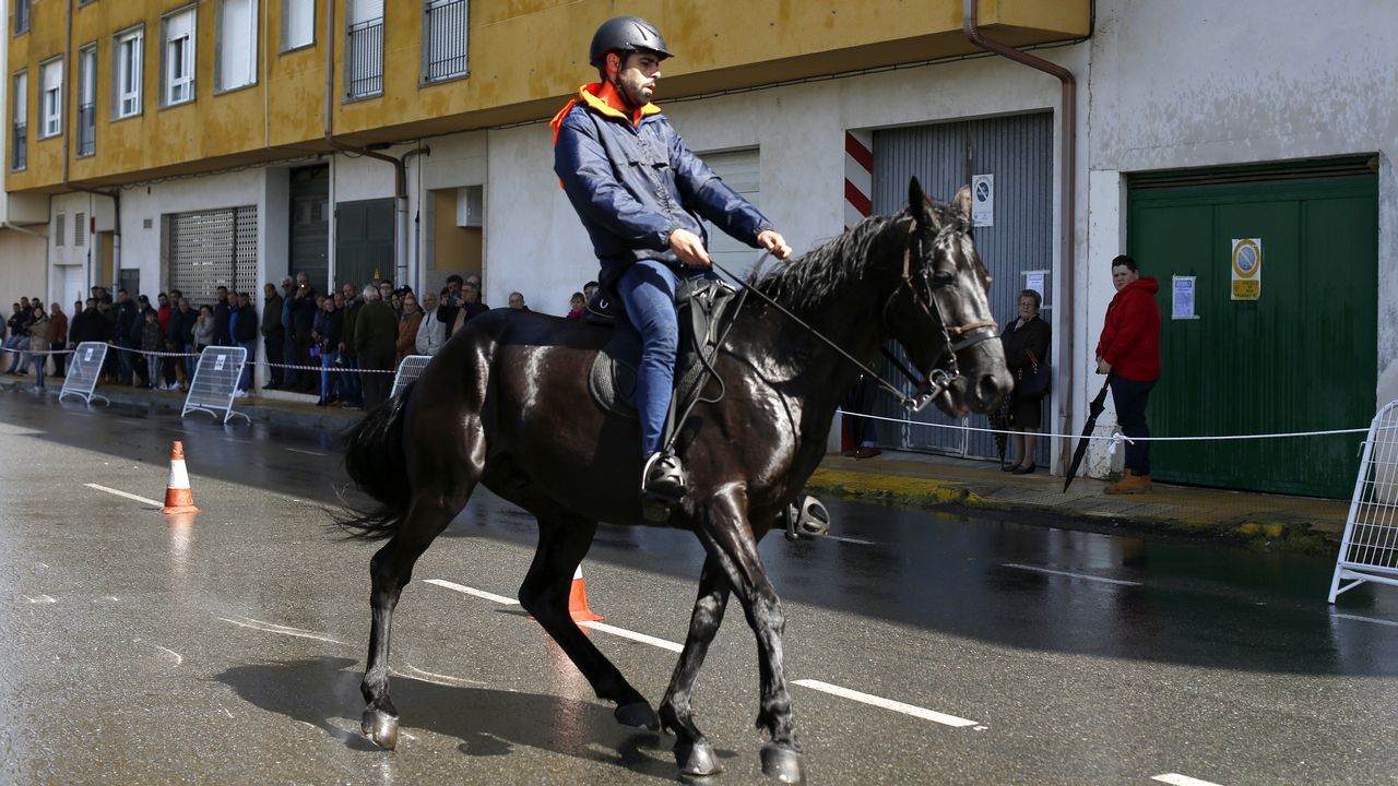 Feria caballar en las Fiestas de San Marcos 2019