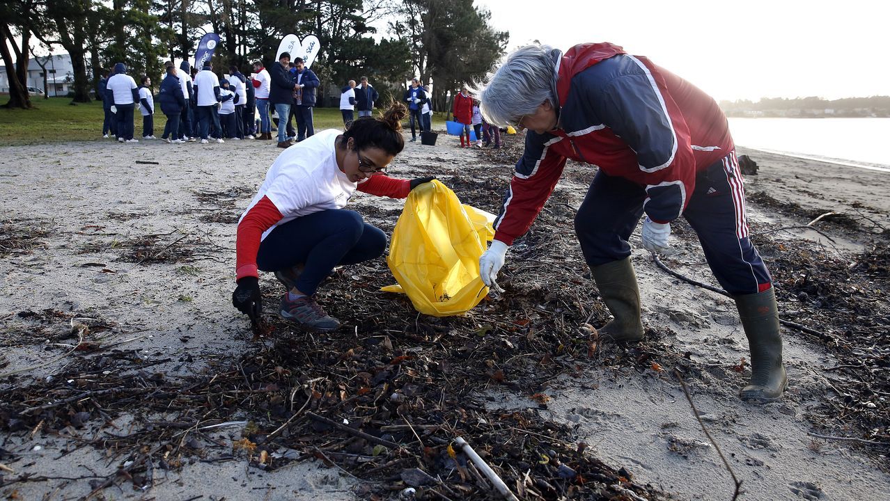 boiro. limpieza de playa de barraña del programa ecomar de jealsa