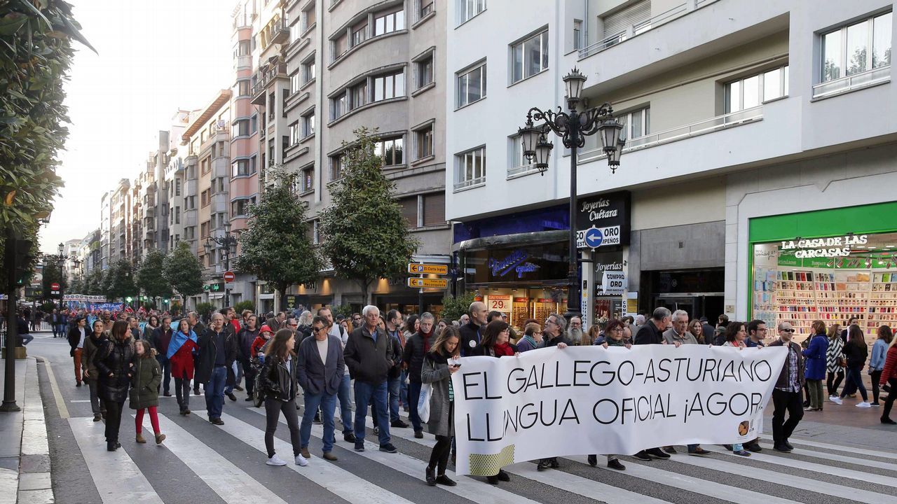 os defensores de la cooficialidad del asturiano han vuelto a manifestarse hoy por las calles de Oviedo para reclamar que la necesaria reforma del Estatuto de Autonomía para llevarla a cabo se ponga en marcha en la actual legislatura
