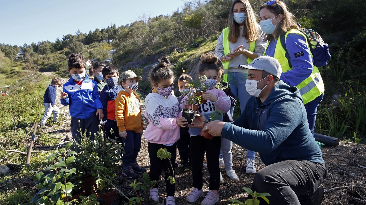 La comunidad de montes de Baroña continua con su bosque comestible