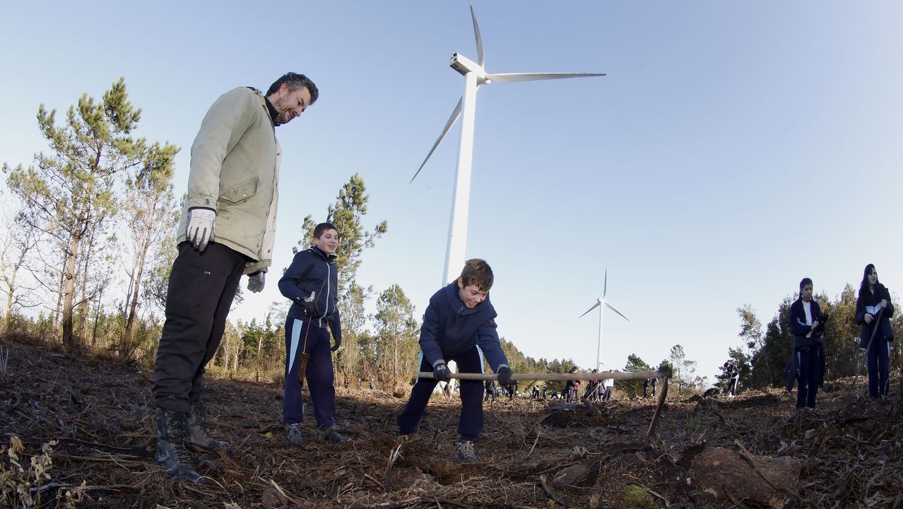 Salida de reforestación en Lousame-Noia, plantación de árboles en Froxán alumnos del colegio Colegio San José de Cluny
