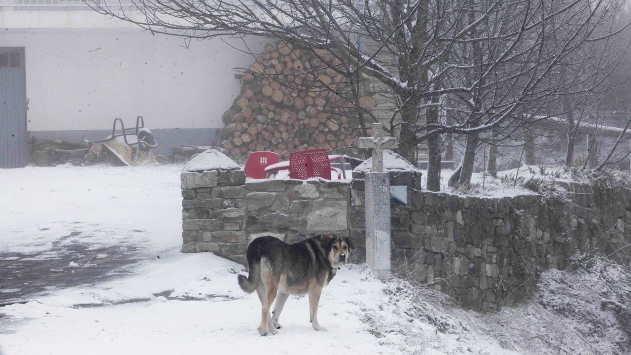 Nieve en O Cebreiro