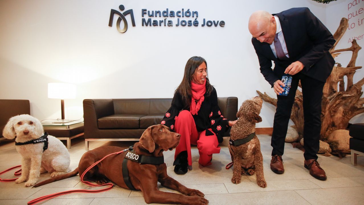 Una mujer victima de la violencia de género acariciando a los perros de asistencia de la Fundación María José Jove
