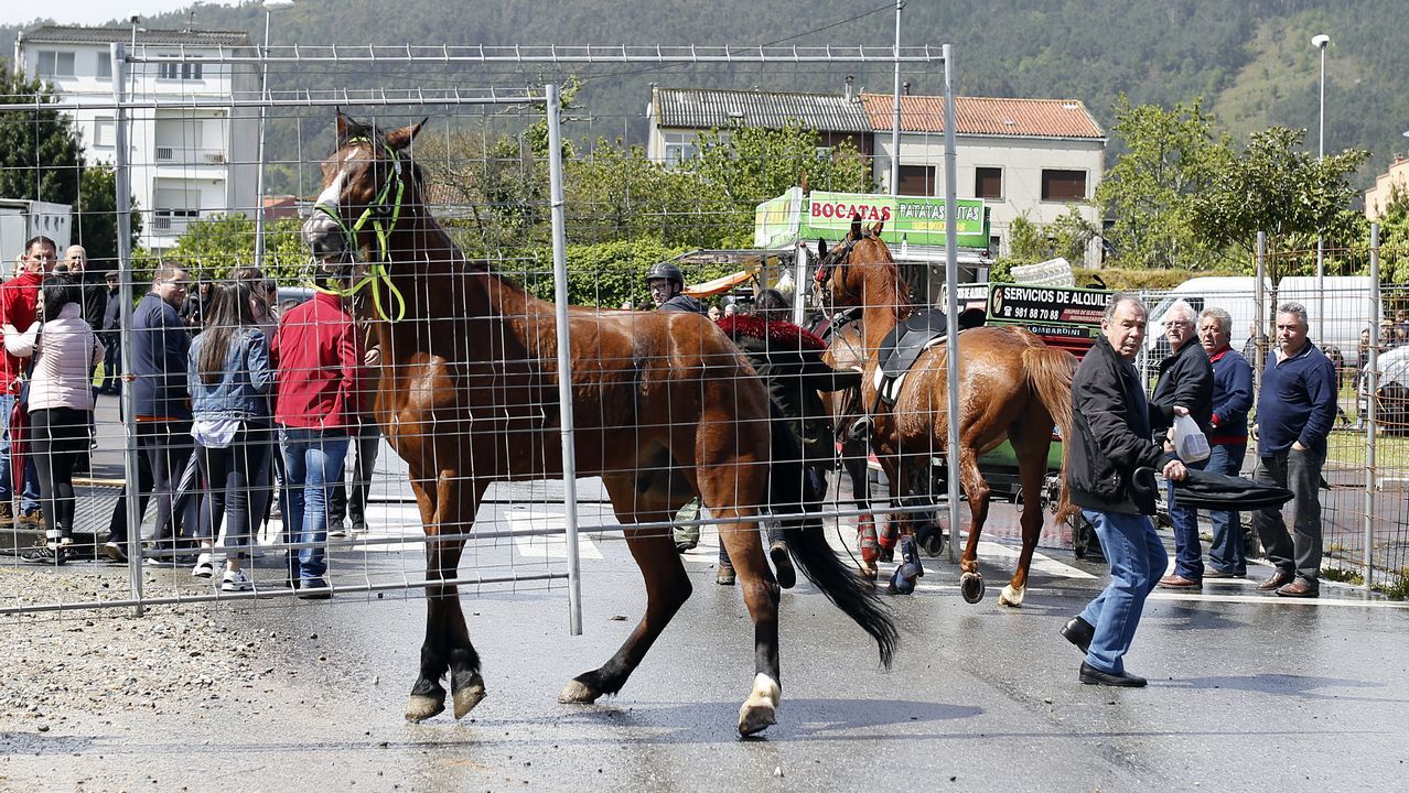 Feria caballar en las Fiestas de San Marcos 2019