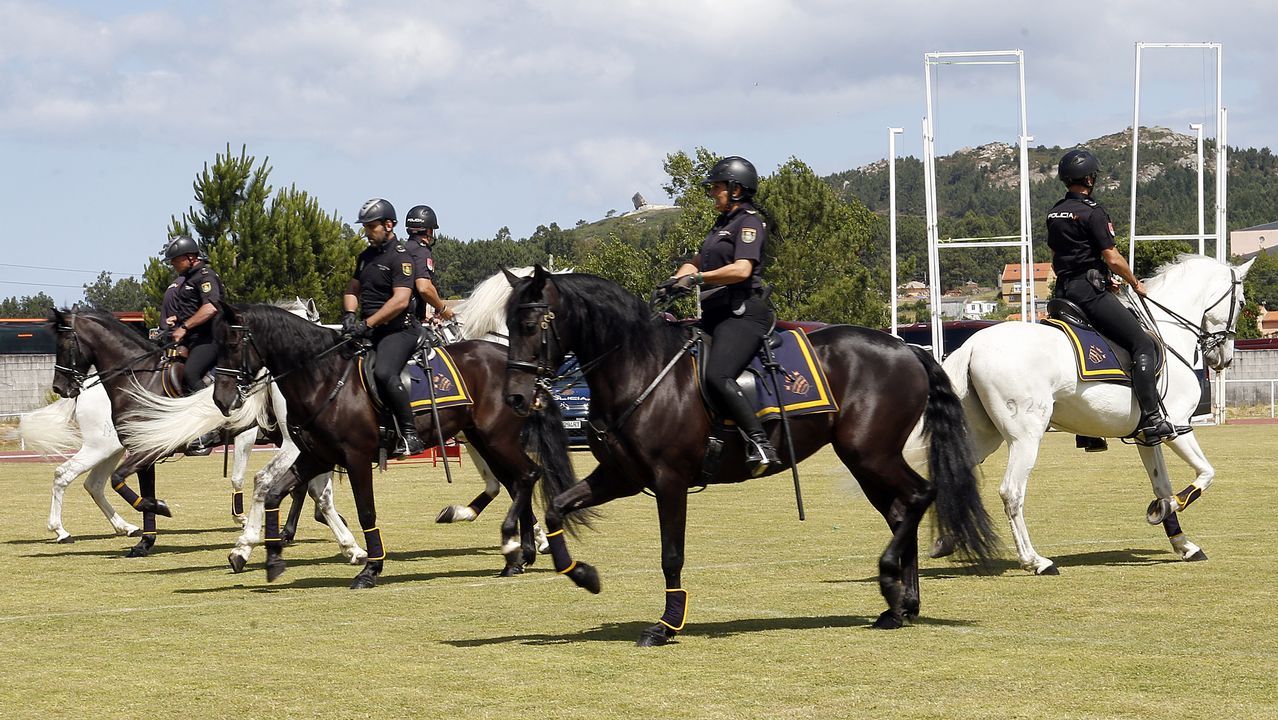 Exhibicion de la Policía Nacional para los escolares de Ribeira con helicoptero, caballería, perros de rastreo