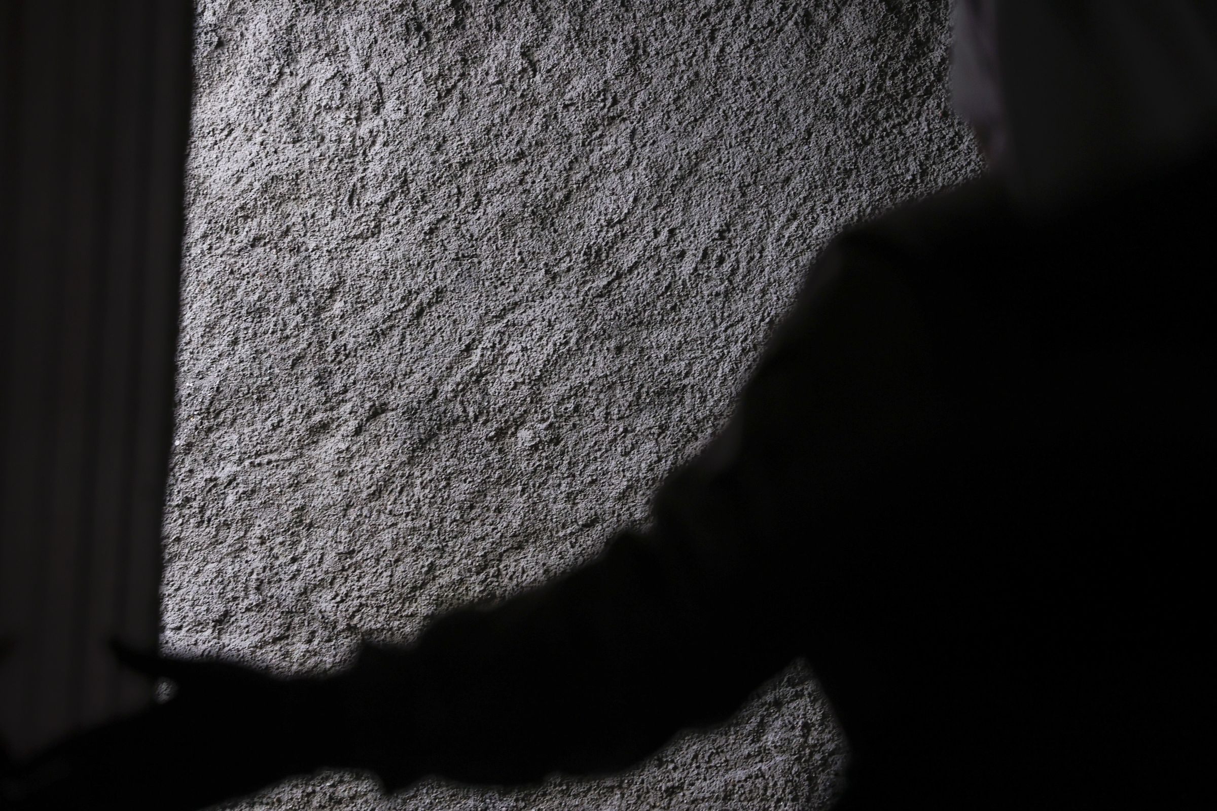 Aunque las monjas viven en clausura, est�n al�tanto de todo lo que ocurre en el mundo a trav�s del torno. Tienen un tel�fono m�vil para cuestiones urgentes y una televisi�n que est� infrautilizada porque prefieren otras distracciones.