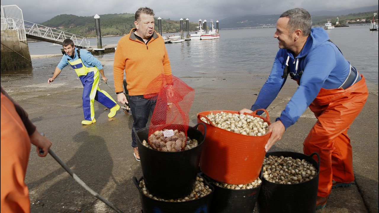 Alberto Chicote visita los bancos marisqueros de Testal en Noia